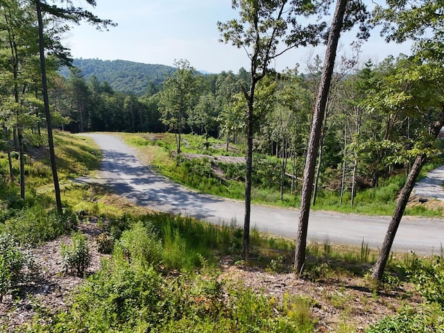 Listing photo 2 for LOT3 Mountain Laurel Rdg, Mineral Bluff GA 30559