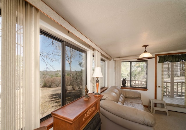 1544 Country Walk, Murphy, NC 28906 - sunroom featuring carpet flooring and a textured ceiling