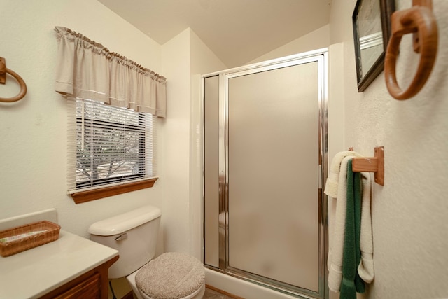1544 Country Walk, Murphy, NC 28906 - bathroom with vanity, lofted ceiling, toilet, and a shower stall