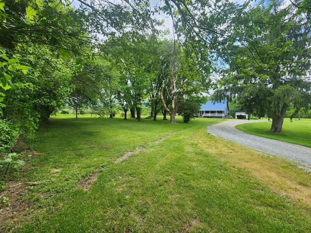 27 Russell Farm Rd, Andrews, NC 28901 - view of green lawn with gravel driveway