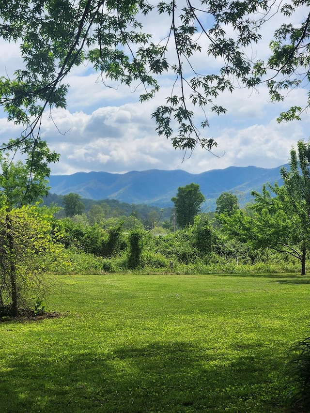 27 Russell Farm Rd, Andrews, NC 28901 - mountain view