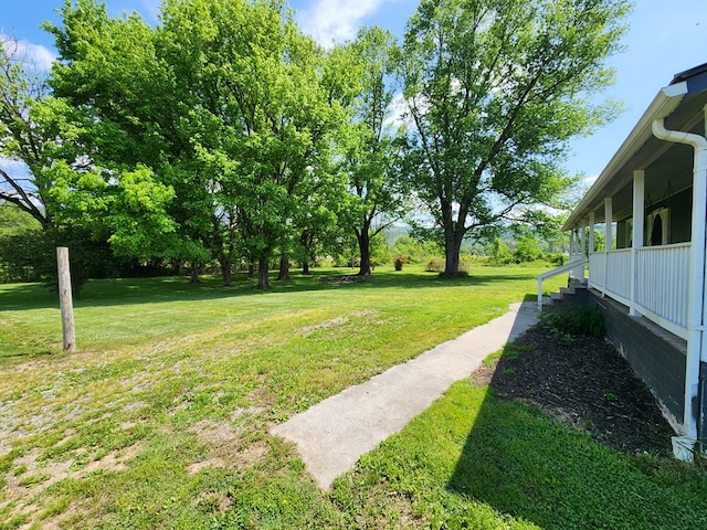 27 Russell Farm Rd, Andrews, NC 28901 - view of green lawn