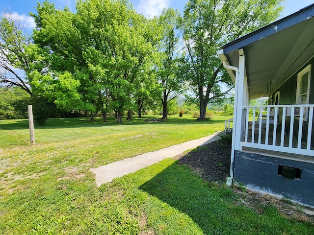 27 Russell Farm Rd, Andrews, NC 28901 - view of green lawn