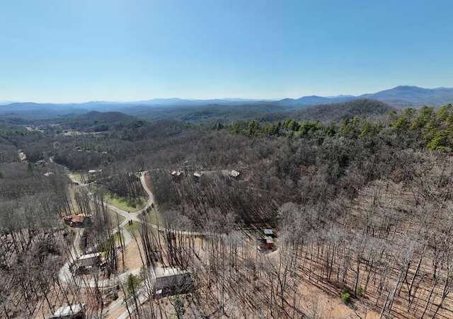 drone / aerial view featuring a mountain view and a forest view