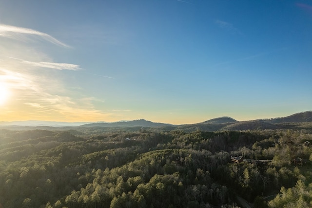 property view of mountains featuring a wooded view