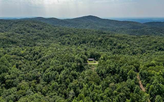 view of mountain view