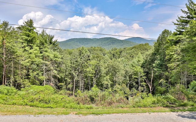 view of mountain view