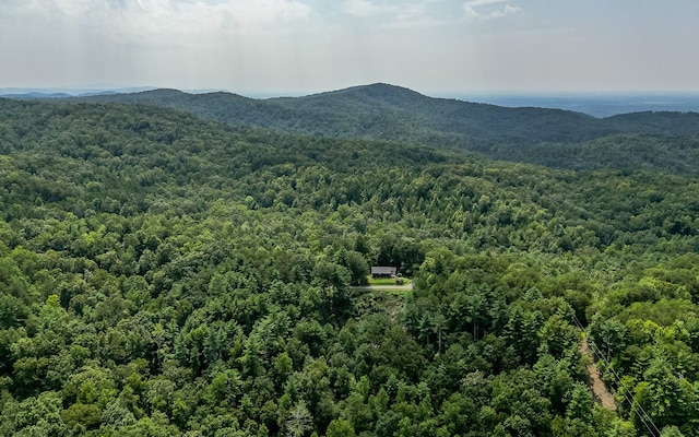 view of mountain view