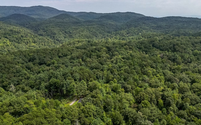 view of mountain view