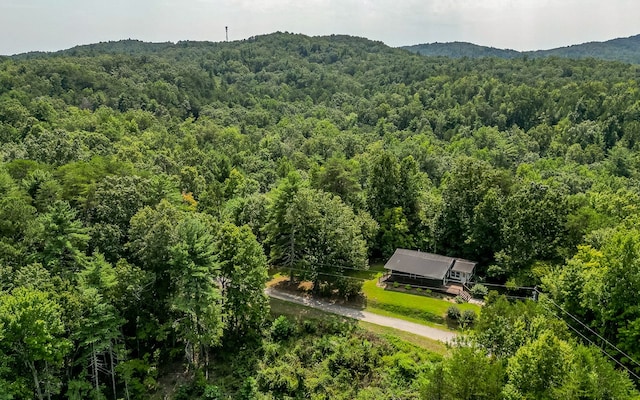 view of bird's eye view