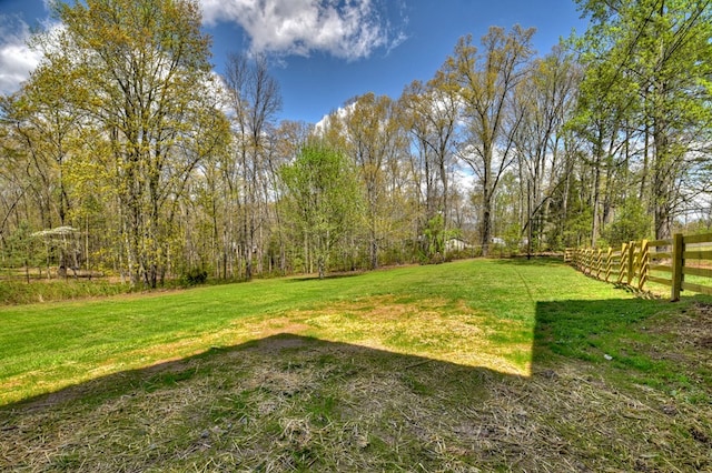 975 Goss Rd, Epworth, GA 30541 - view of yard
