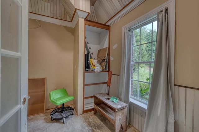 interior space featuring carpet floors and lofted ceiling