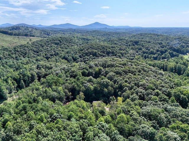 aerial view with a mountain view