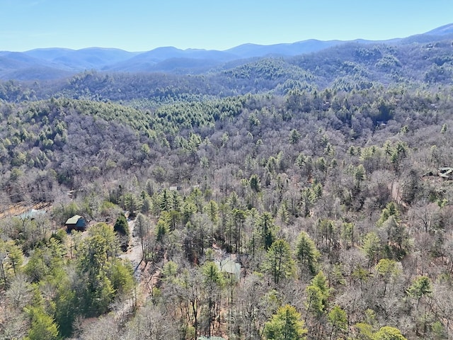 view of mountain feature featuring a forest view