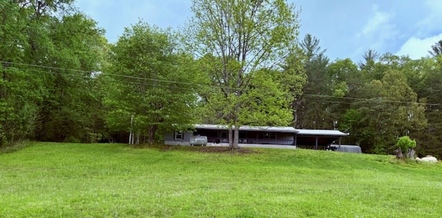 view of yard featuring a wooded view