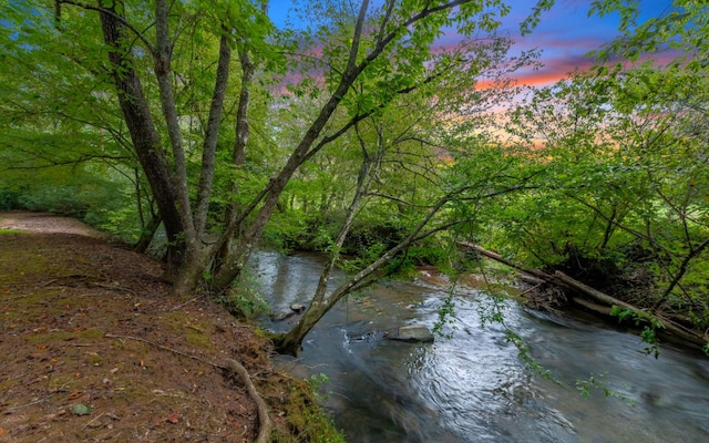 nature at dusk with a water view