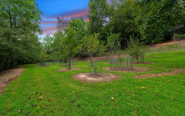 view of yard at dusk