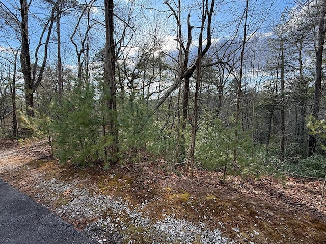 LOT103 Lancelot Loop, Clayton GA, 30525 land for sale