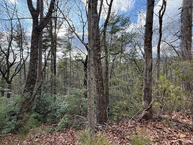 Listing photo 2 for LOT103 Lancelot Loop, Clayton GA 30525