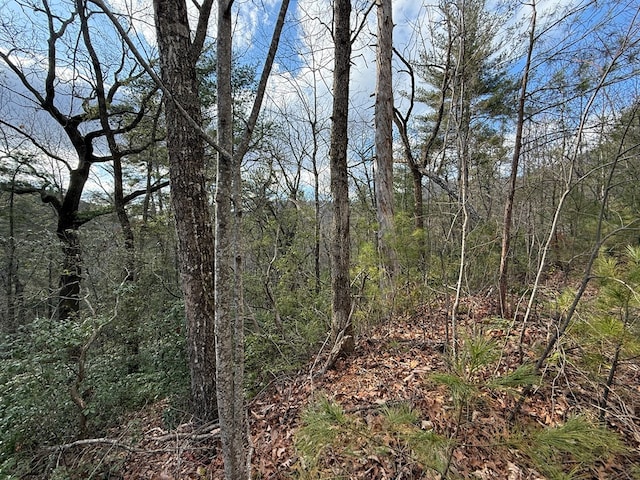 Listing photo 3 for LOT103 Lancelot Loop, Clayton GA 30525