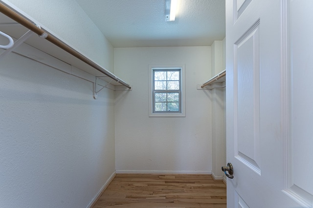 spacious closet featuring light wood-type flooring