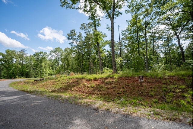 Listing photo 3 for 0 Sundown Trl, Ellijay GA 30540