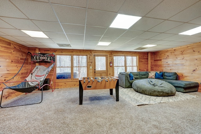 480 Sugar Mountain Rd, Blue Ridge, GA 30513 - rec room with wooden walls, carpet flooring, and a healthy amount of sunlight