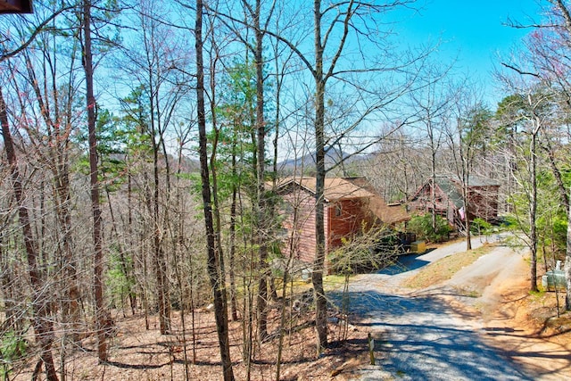 480 Sugar Mountain Rd, Blue Ridge, GA 30513 - view of road featuring driveway and a wooded view