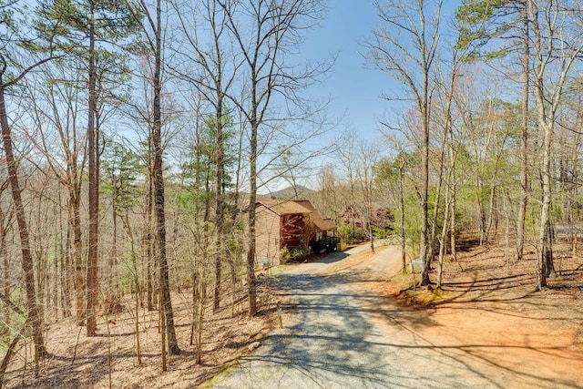 480 Sugar Mountain Rd, Blue Ridge, GA 30513 - view of street