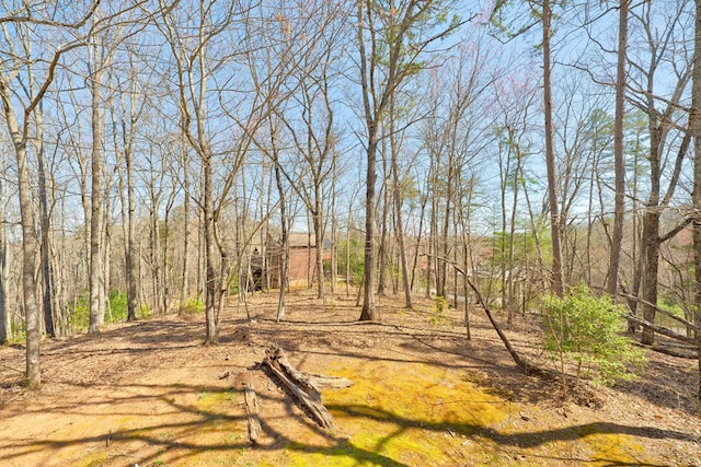 480 Sugar Mountain Rd, Blue Ridge, GA 30513 - view of yard
