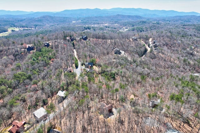 480 Sugar Mountain Rd, Blue Ridge, GA 30513 - drone / aerial view with a wooded view and a mountain view