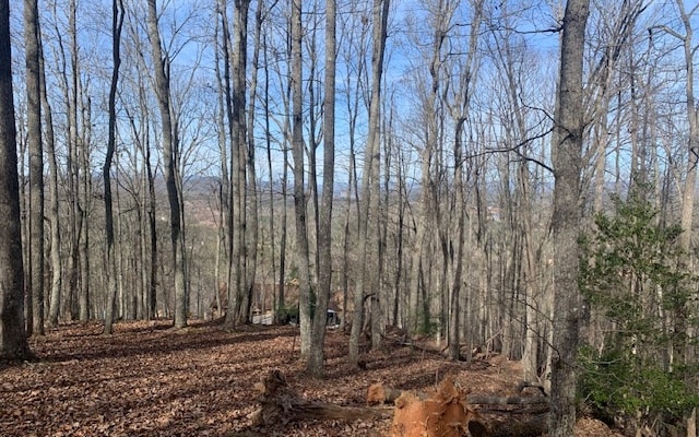 Listing photo 2 for LOT7B Timber Bnd, Blairsville GA 30512