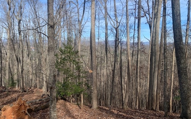 Listing photo 3 for LOT7B Timber Bnd, Blairsville GA 30512