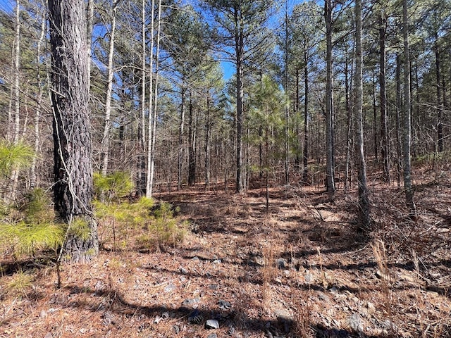 Listing photo 3 for LOT50 Deyton Dr, Blairsville GA 30512