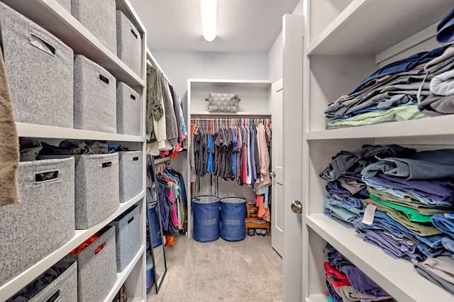 spacious closet featuring light carpet