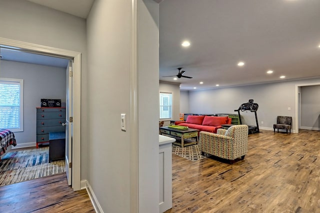 living room featuring ceiling fan, light hardwood / wood-style floors, and a healthy amount of sunlight