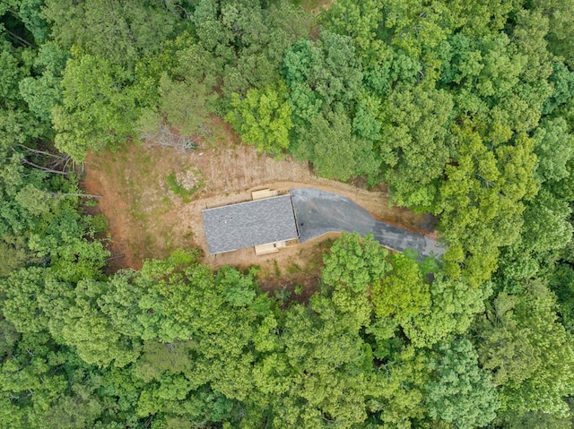 220 Jetty Dr, Ellijay, GA 30540 - view of property location with a forest