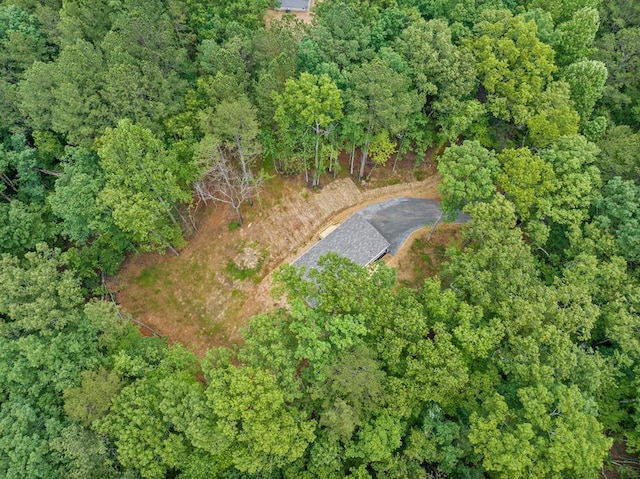 220 Jetty Dr, Ellijay, GA 30540 - aerial view of property and surrounding area featuring a forest