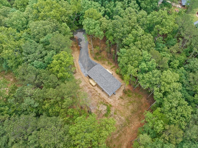 220 Jetty Dr, Ellijay, GA 30540 - view of property location