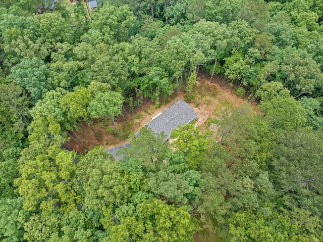 220 Jetty Dr, Ellijay, GA 30540 - view of property location featuring a heavily wooded area
