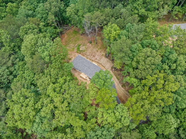 220 Jetty Dr, Ellijay, GA 30540 - aerial overview of property's location featuring a forest