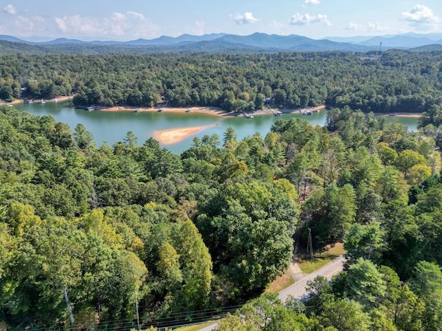 Listing photo 3 for 12A11A Lake Breeze Ln, Blairsville GA 30512