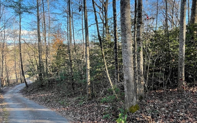 Listing photo 2 for LT14 Kilpatrick Point Ter, Hayesville NC 28904