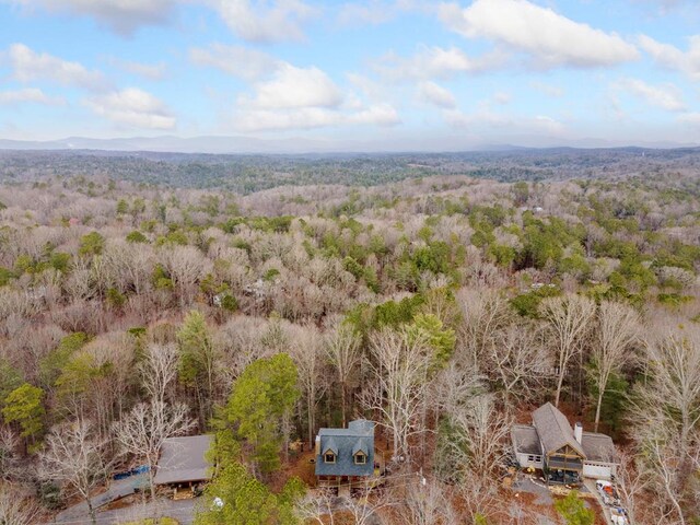 2267 Newport Dr, Ellijay, GA 30540 - view from above of property featuring a heavily wooded area