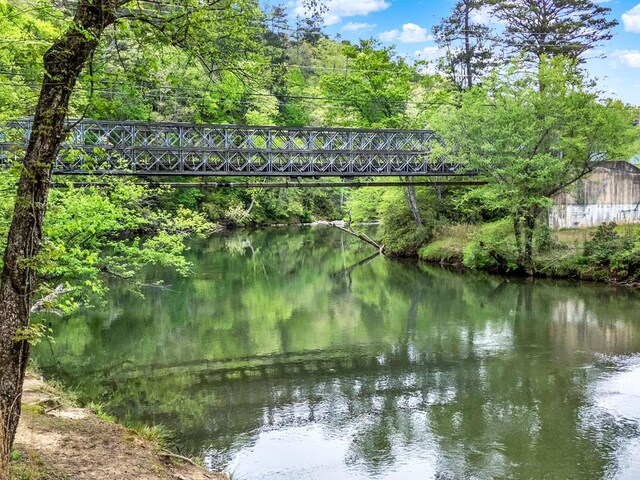 2267 Newport Dr, Ellijay, GA 30540 - water view with fence