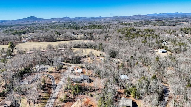 birds eye view of property featuring a mountain view