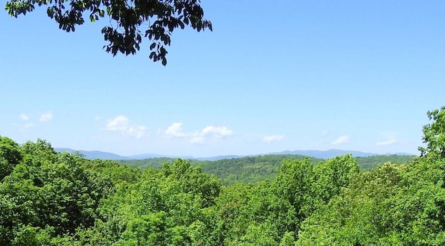 120 Sunrock Mountain Trc, Blue Ridge, GA 30513 - view of mountain backdrop with a forest