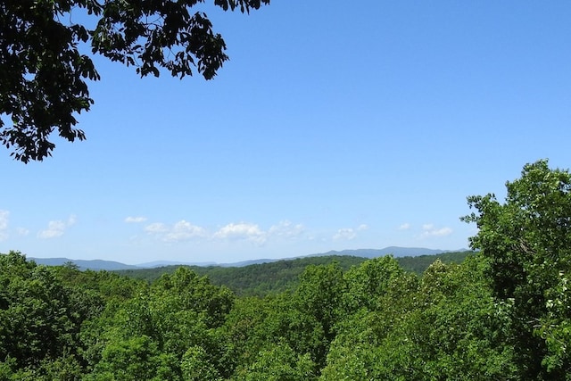 120 Sunrock Mountain Trc, Blue Ridge, GA 30513 - mountain view featuring a heavily wooded area