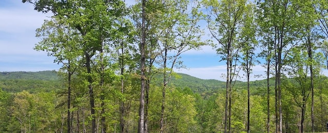 34 Wildlife Trl, Morganton, GA 30560