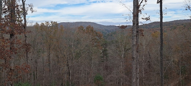 34 Wildlife Trl, Morganton, GA 30560